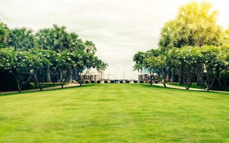 Lawn Care Tips for Spring