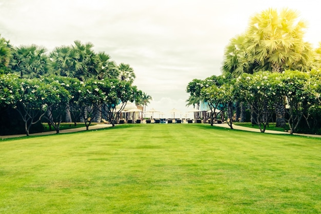 Lawn Care Tips for Spring