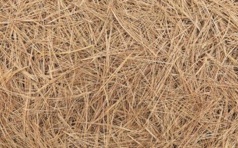 Pine Straw Mulch